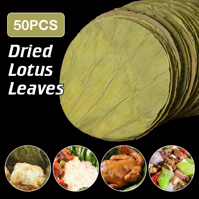Home Cooking Recipes - 50 Buah 22Cm Cakram Daun Teratai